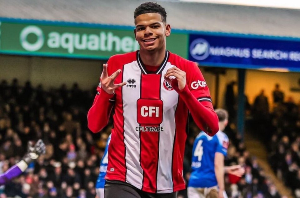 谢菲联主力前锋受伤缺席,或将影响球队战绩的简单介绍 谢菲联主力前锋受伤缺席,或将影响球队战绩的简单介绍