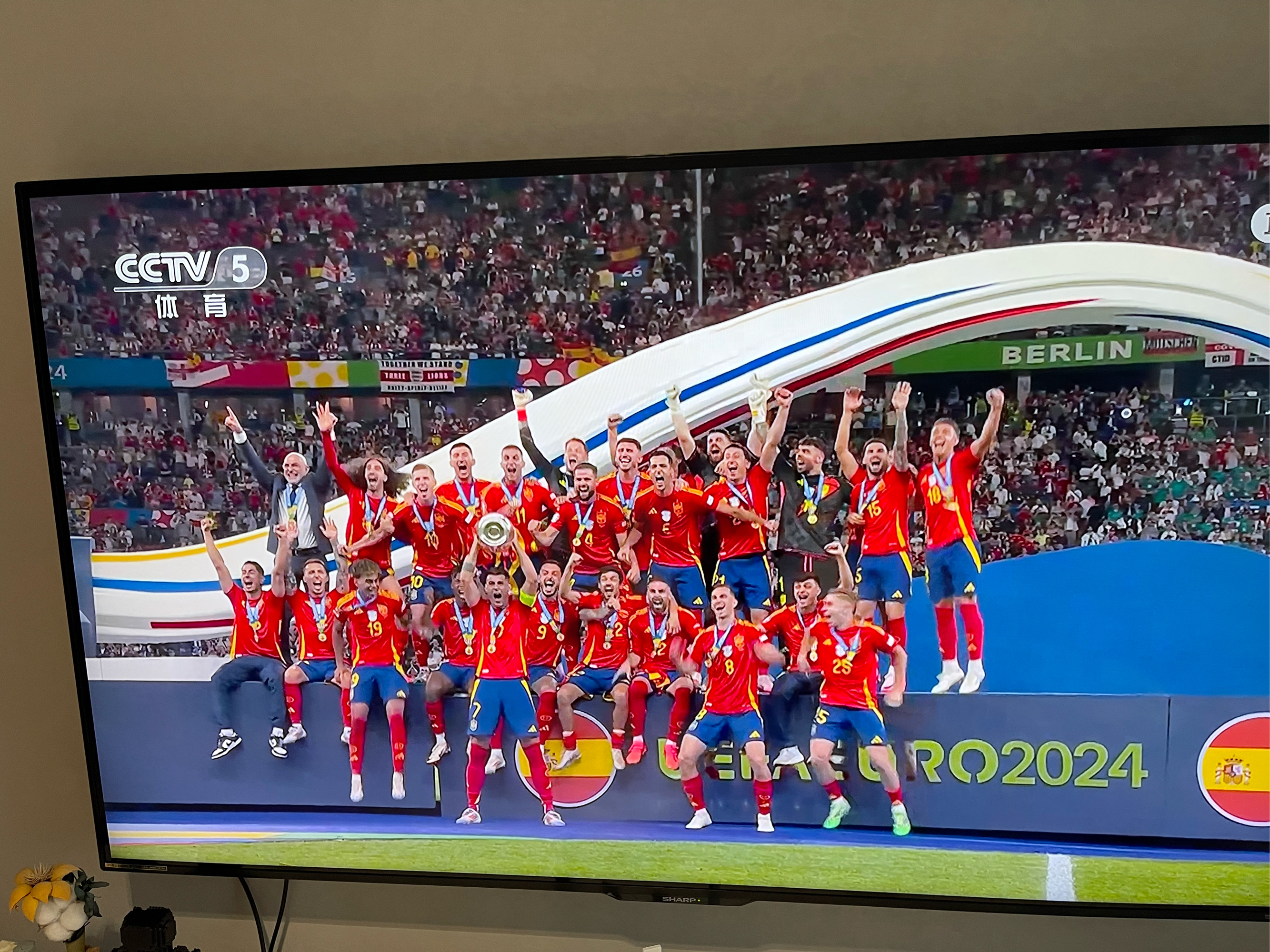 西班牙队在锦标赛中取得胜利，让我们祝贺他们！